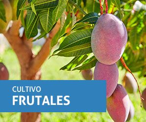 frutalescon.jpg