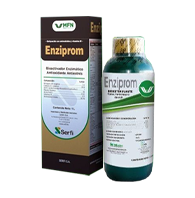 Enziprom