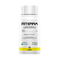 Miterra