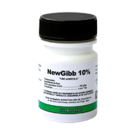 Newgibb