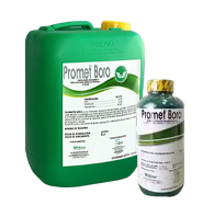 Promet Boro